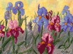 (image for) Iris & Monarch